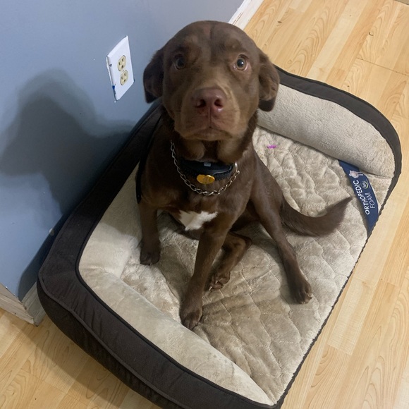 Meet your Posher, Jacorey - Picture 1 of 1